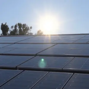 1a5c67a9-ecb8-4511-b0b4-2cb797249700